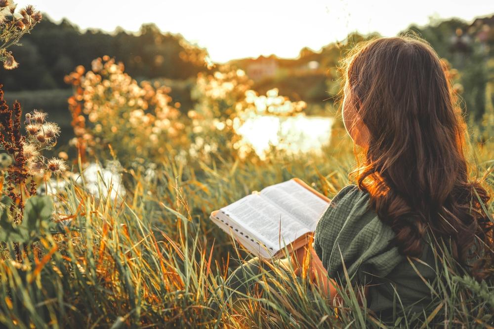 «Мой дедушка был вишней», «Вафельное сердце» и еще 5 детских книг о том, как пережить горе смерти, чтото, чтобы, очень, любит, Издательство, книги, история, помочь, смерть, такое, ребенку, зовут, «Меня, объяснить, дедушка, Тонино, вопросы, найти, книга