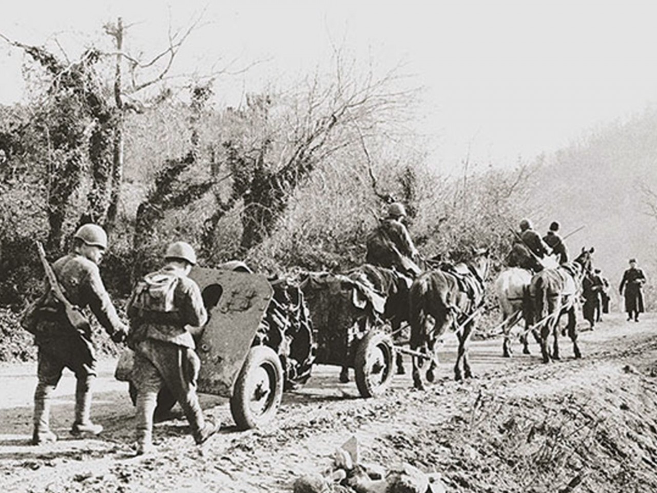 Заполярная кавалерия 1941 год какой фронт. Лошади в Великой Отечественной войне 1941-1945. Лошади в годы Великой Отечественной войны. Конная артиллерия в Великой Отечественной войне 1941.