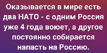 Коллекция свежего юмора: от политики до бытовых абсурдов