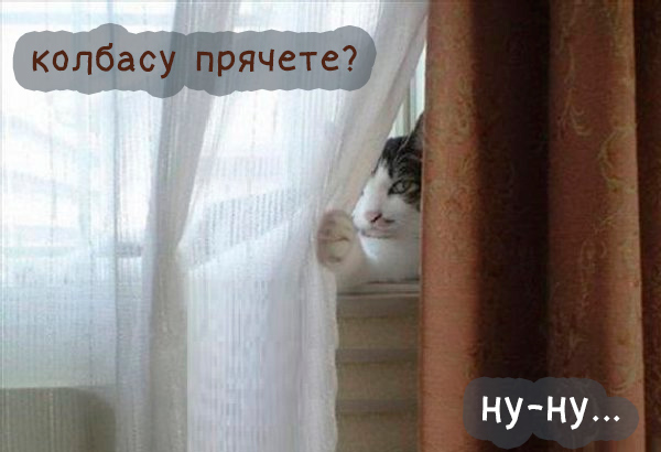Подборка смешных картинок для хорошего настроения Подборка смешных картинок для хорошего настроения
