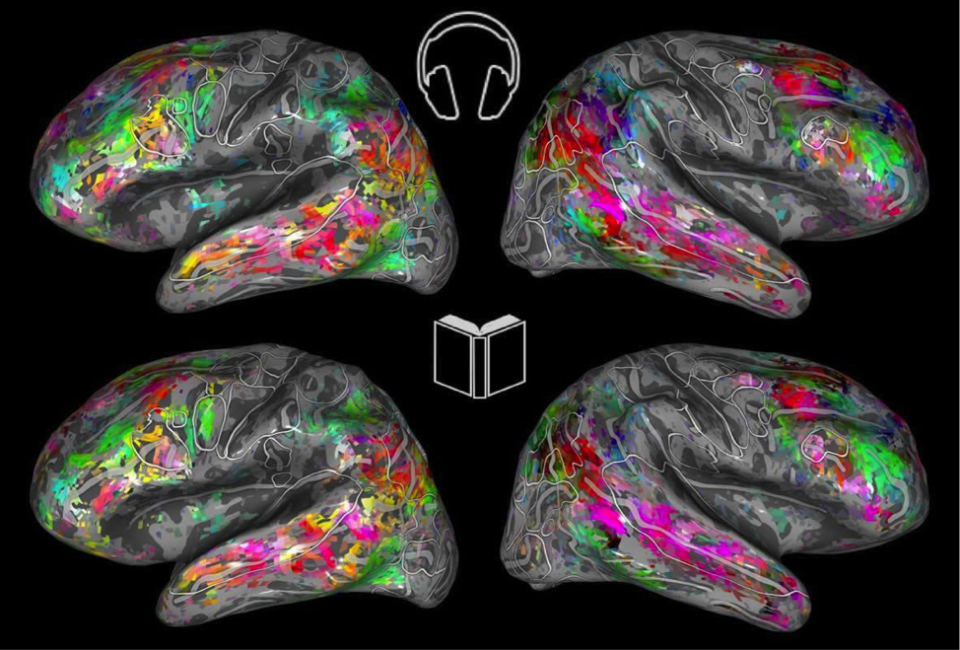 Мозг читающего человека. Brain Maps карты. Brain Mapping. Мозг читающего и не читающего человека. Brain Maps обработки.