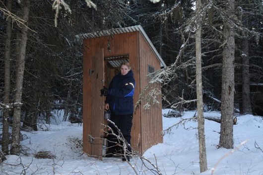 Занимательная Аляска Занимательная Аляска