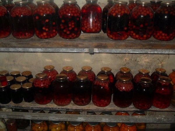 Теплые воспоминания о каникулах в деревне Теплые воспоминания о каникулах в деревне