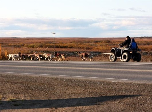Занимательная Аляска Занимательная Аляска