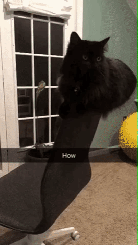 Подборка гифок Подборка гифок смешные картинки