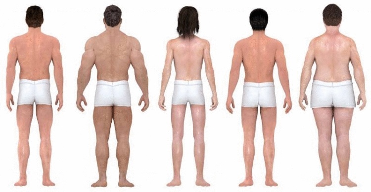 Изменения стандартов мужской красоты за последние 150 лет Изменения стандартов мужской красоты за последние 150 лет