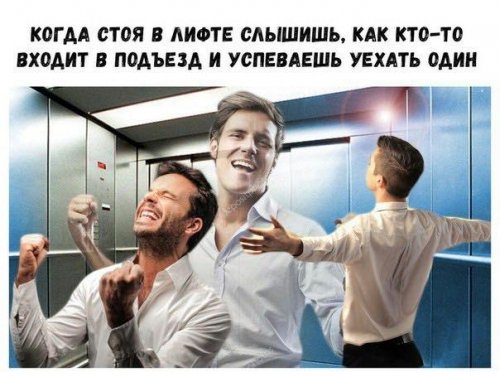 Свежие фото-приколы и картинки Свежие фото-приколы и картинки смешные картинки