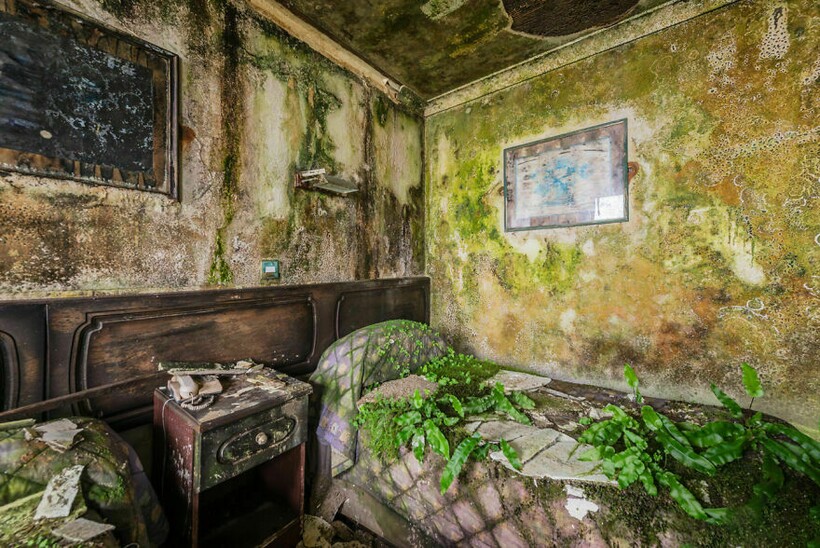 14 фото заброшенного отеля, которые показывают, каким будет мир после человека