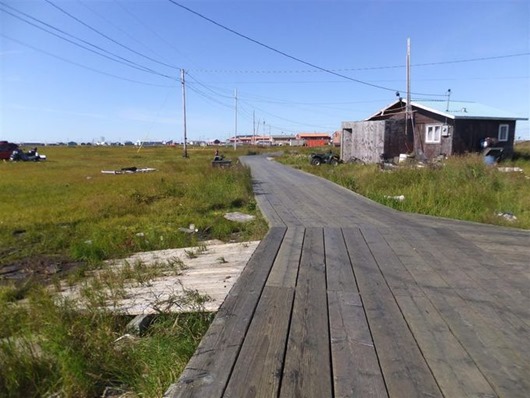 Занимательная Аляска Занимательная Аляска