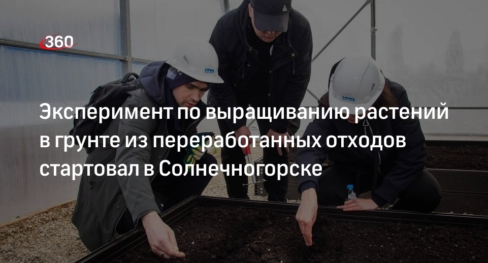 Эксперимент по выращиванию растений в грунте из переработанных отходов стартовал в Солнечногорске