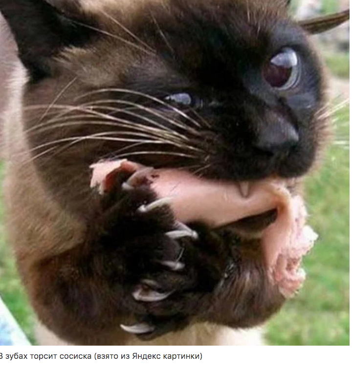 Сбежавший ужин Сбежавший ужин