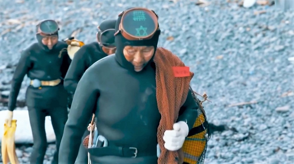 Загадка устрицы животные