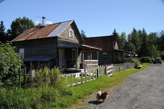 Занимательная Аляска Занимательная Аляска