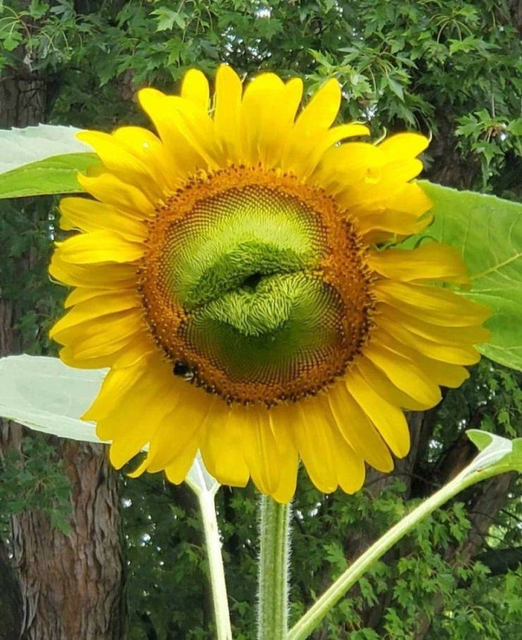 Подборка прикольных картинок. Вечерний выпуск Подборка прикольных картинок. Вечерний выпуск смешные картинки,фото-приколы,юмор