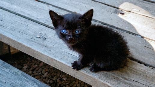 Предсказание