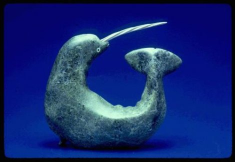 25 самых необычных животных в мире (25 фото)