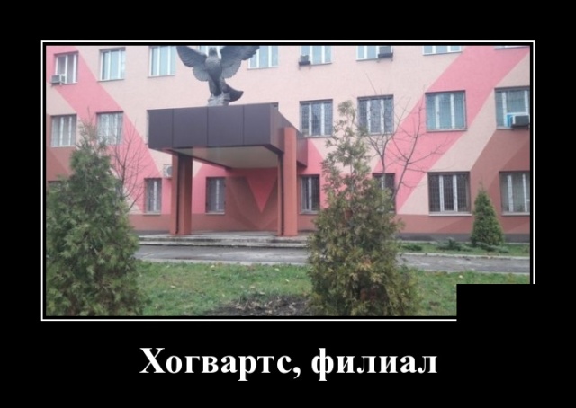 Подборка интересных и веселых картинок №66 демотиваиторы