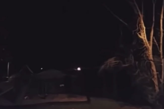 Крики странных животных: ночные записи с камер Крики странных животных: ночные записи с камер Культура