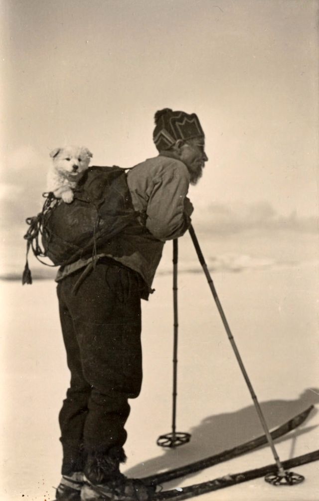 Дружба животных и людей на фотографиях 19 века