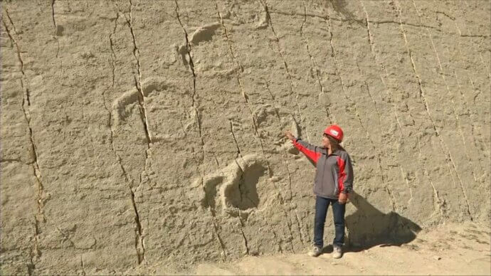 женщина возле стены динозавров