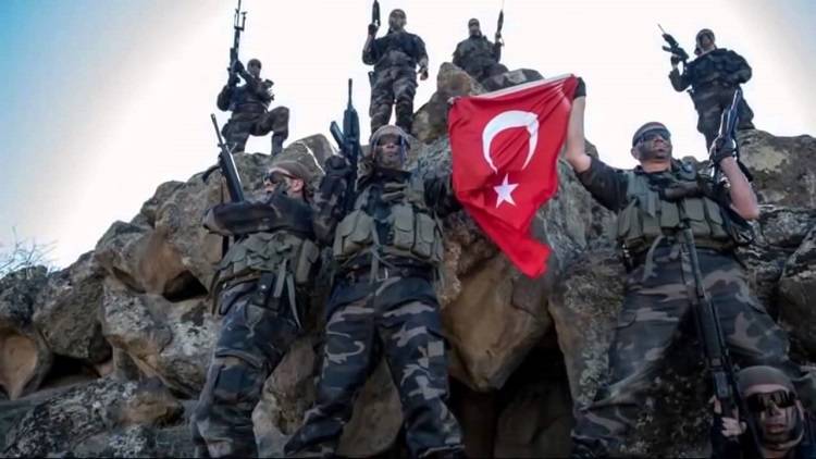 Турецкие сухопутные войска и их военно-политическая роль в жизни страны