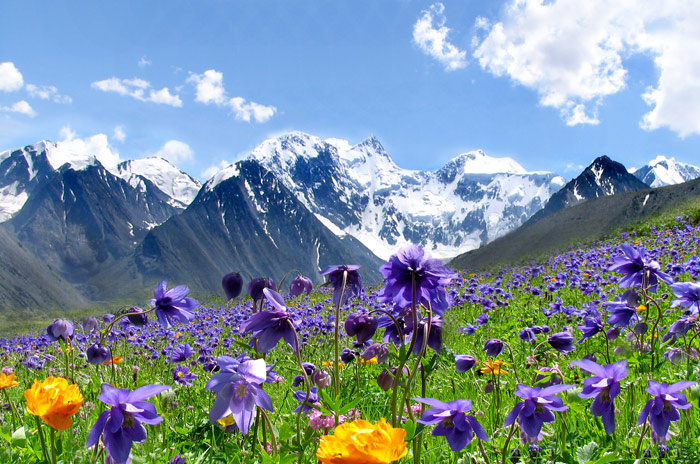 ÐÐ¾Ð»Ð¾ÐºÐ¾Ð»ÑÑÐ¸ÐºÐ¸