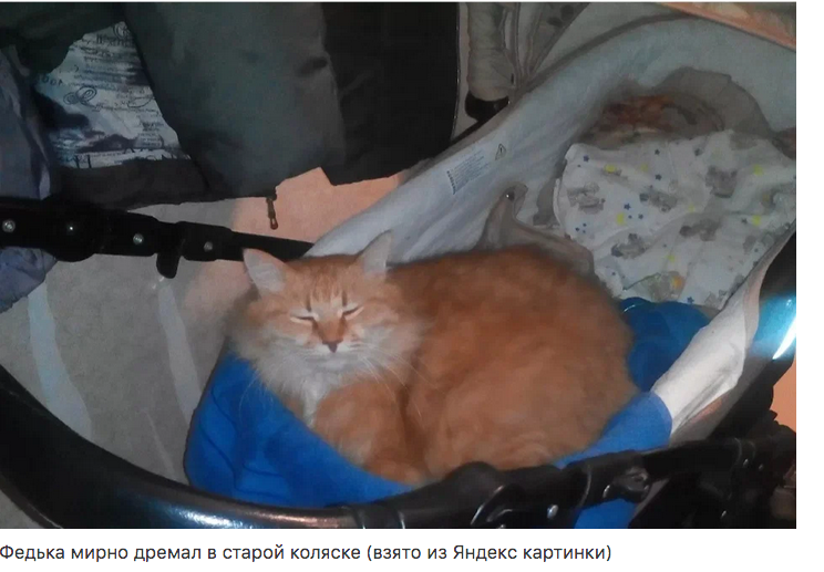 Сбежавший ужин Сбежавший ужин