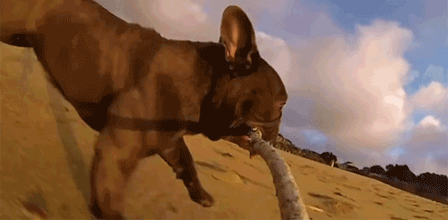 Веселые и прикольные гифки из сети Веселые и прикольные гифки из сети