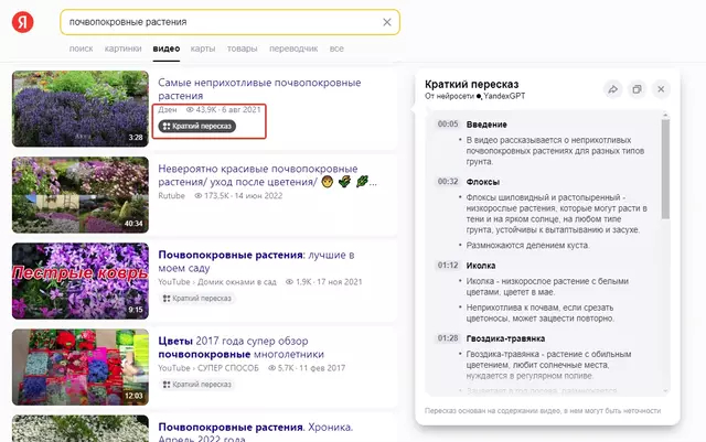 На скришноте Яндекс поиска краткий пересказ видеоролика с Дзен