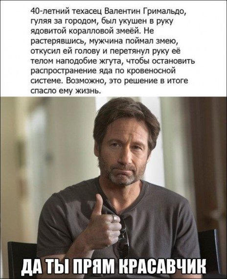 Порция прикольных картинок Порция прикольных картинок