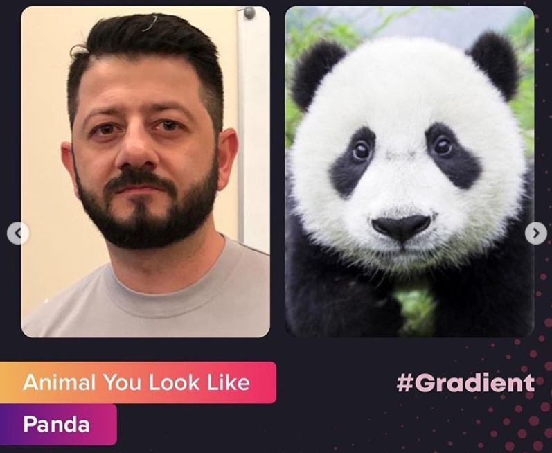 На какое животное похож по фото онлайн приложение
