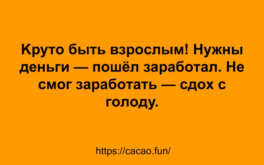 Смешные анекдоты, которые помогают находить радость в мелочах 