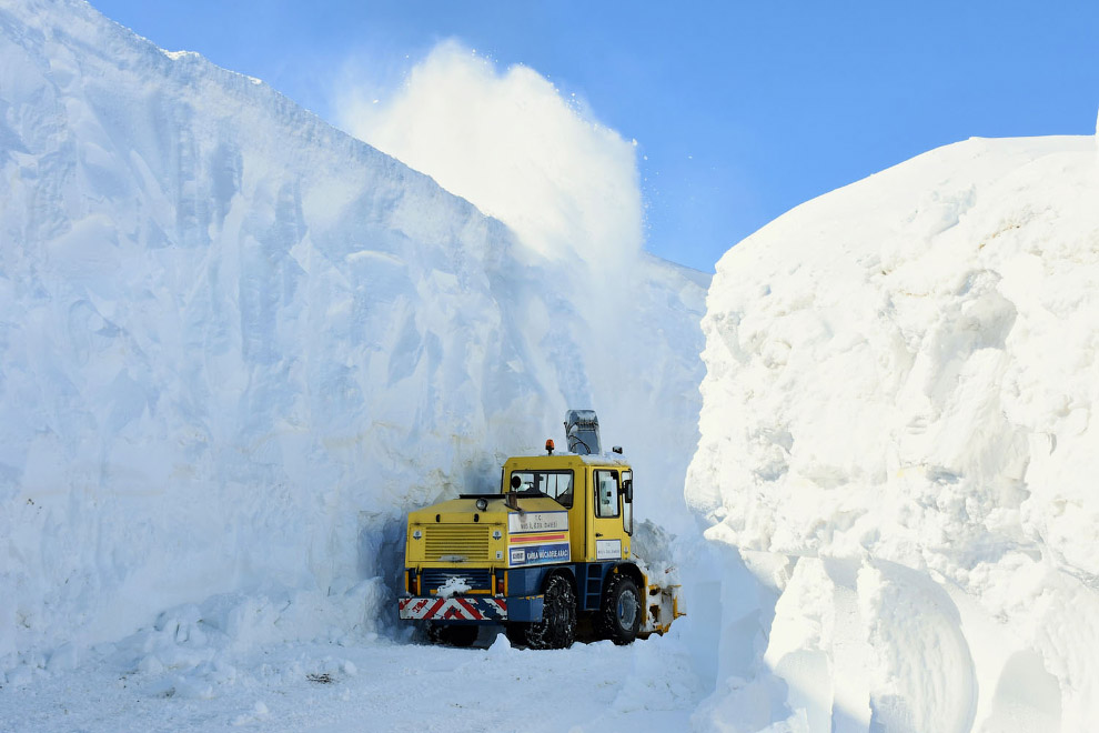 Юбилейная подборка интересных и веселых картинок №50 Юбилейная подборка интересных и веселых картинок №50 отдых