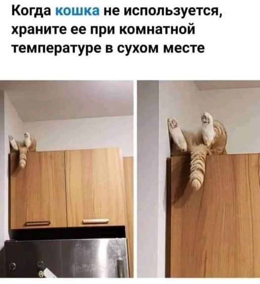 Юмор из интернета 608 позитив,смех,улыбки,юмор