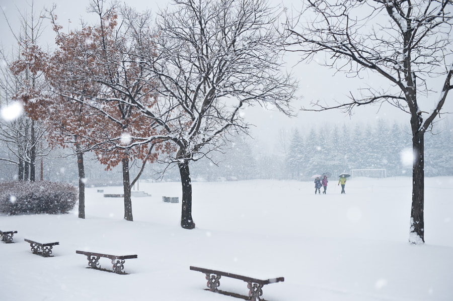 Heavy snowfall by Heonyong LIM on 500px