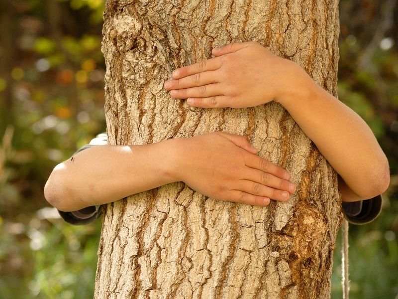 Исторические суеверия, которых мы придерживаемся до сих пор интересное,история,суеверия