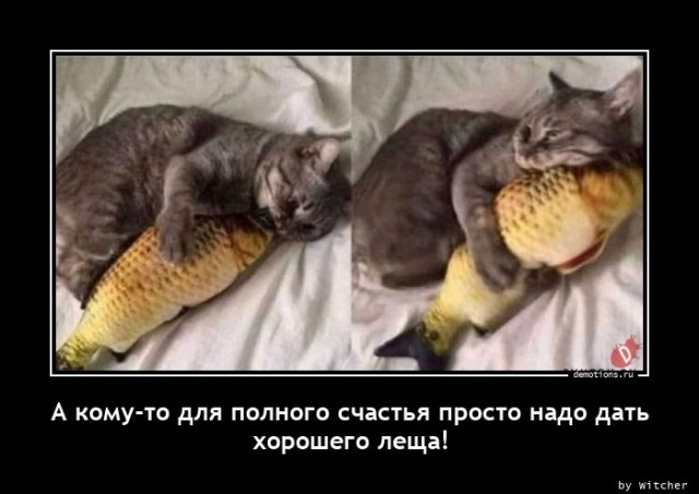 Демотиваторы на любой вкус: «А кому-то для полного счастья…»