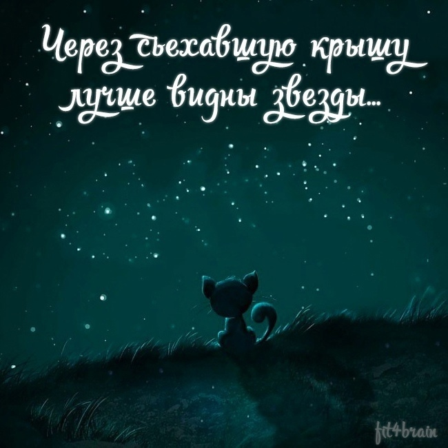 Когда до Трампа уже дойдет, что КНДР не проводит испытания баллистических ракет, а просто никак не может попасть ракетой по Вашингтону? актив, когда, карточку, мужика, придумывает, ничего, лишнего, никто, никогда, видел, Чтобы, всегда, помнить, собой, отличается, своего, кредитная, карточка, Здравствуйте, святой