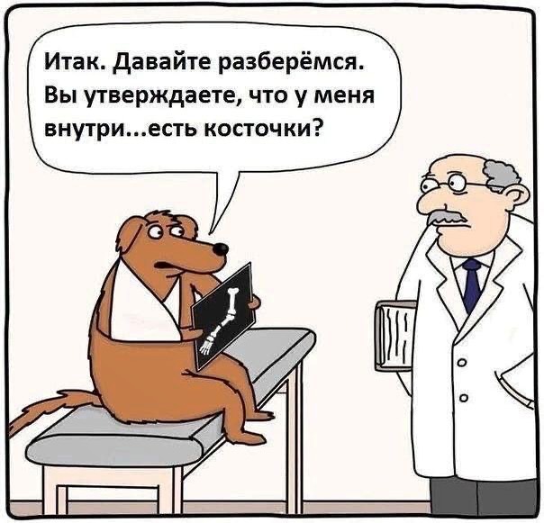 Выдуманное обратно не вдумаешь. Выдуманное обратно не вдумаешь.