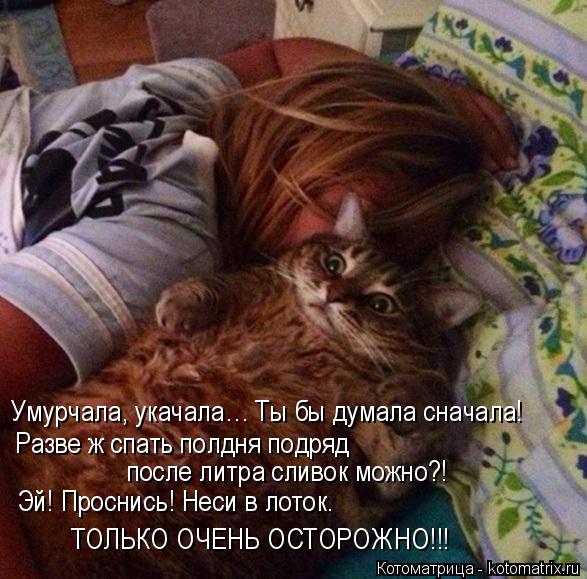 Котоматрица: ТОЛЬКО ОЧЕНЬ ОСТОРОЖНО!!! Эй! Проснись! Неси в лоток.  после литра сливок можно?! Разве ж спать полдня подряд Умурчала, укачала… Ты бы думала с