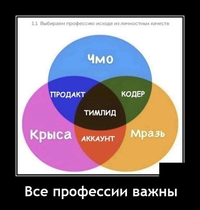 Смешные картинки в чёрной рамке для хорошего настроения! 