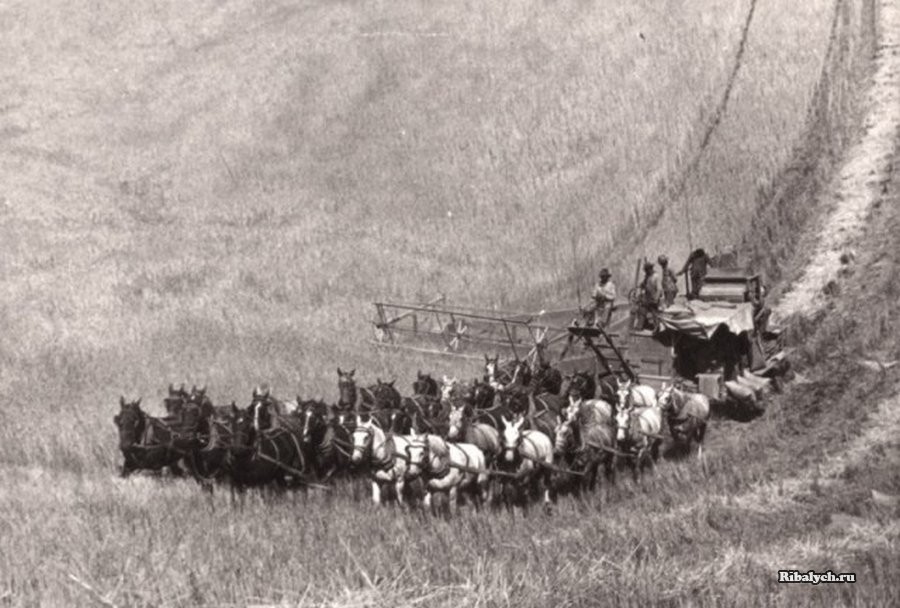 Старые фотографии, осколки истории