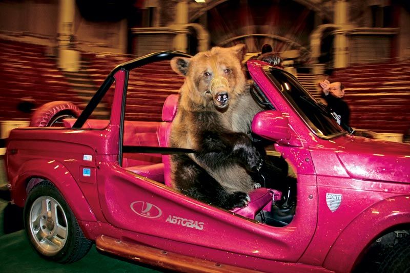 Удивительная история Нивы: Эверест, Антарктида и цирк с медведями авто,автомобиль,Россия