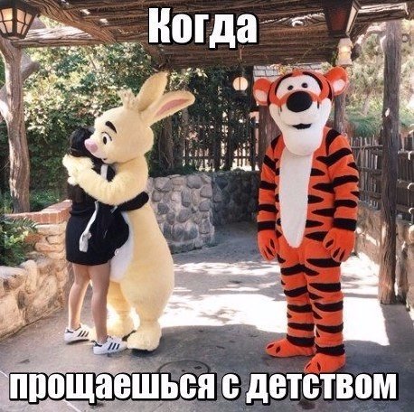 Забавные картинки с надписями до слез 