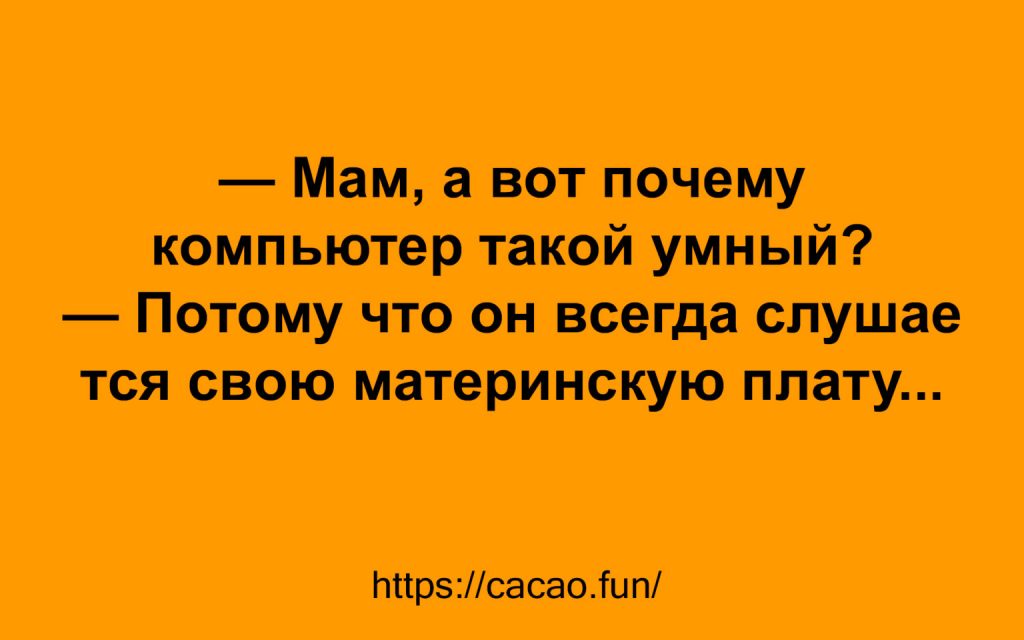 Смешные анекдоты, которые помогают находить радость в мелочах 
