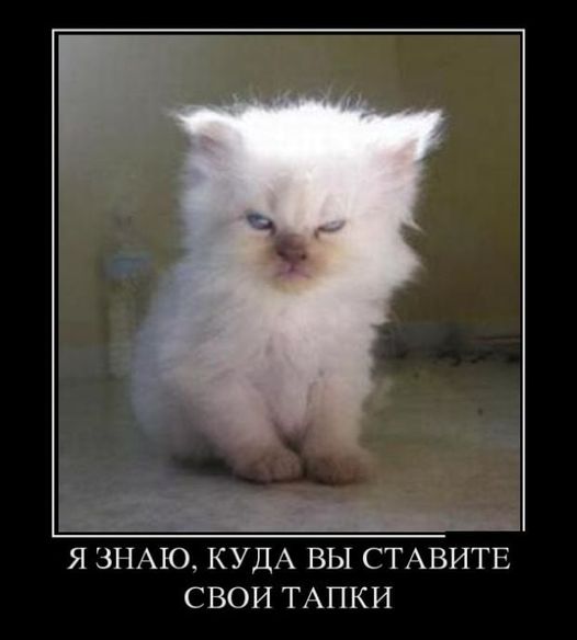 Юмор из интернета 608 позитив,смех,улыбки,юмор