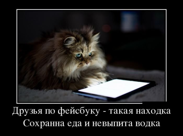 Демотиваторы черноватенькие 