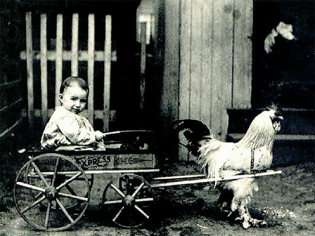 20 фотографий начала XX века, от которых у вас округлятся глаза забавные снимки,интересное,история,начало века,ретро фото,странности,фотография