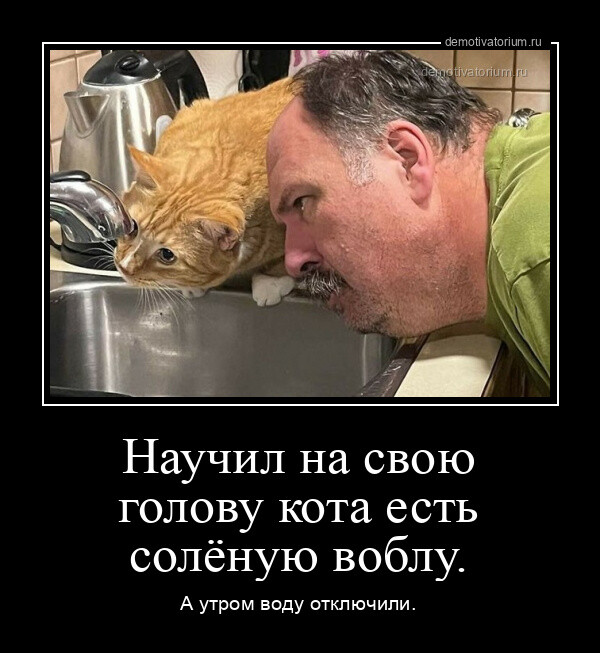 Демотиваторов порция 