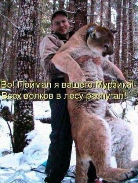 - Тут болит? - Да. - А тут?... мужик, хватит, старый, спиной, движение, чтобы, болит, почему, жизнь, стояла, абсолютная, полная, автобусе, тишина, входили, удивительном, оглядывались, Девочки, молча, выходили